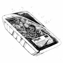 Idolatry of Deception